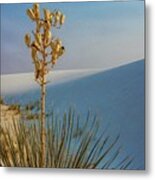 White Sands Yucca Metal Print