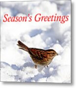 White Throated Sparrow In Snow Season's Greetings Metal Print