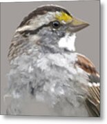 White Throated Sparrow Metal Print