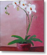 White Tulips Metal Print