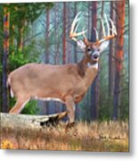Whitetail Deer Art Squares - Twelve Point Whitetail Deer Buck Metal Print