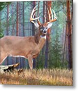 Whitetail Deer Art - Twelve Point Whitetail Deer Buck Metal Print