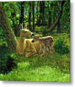 Whitetail Deer - First Spring Metal Print