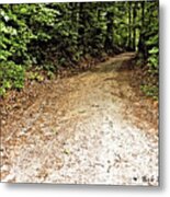 Who Knows What's Around The Bend... Metal Print