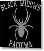 Widows Pacoima Metal Print