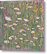 Wild Daisy Sketch Metal Print