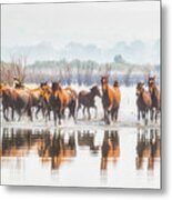 Wild Horses Crossing Big Washoe Metal Print