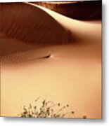 Wild Sand Dunes - Persian Orange Metal Print