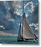 Wind Hunter Metal Print