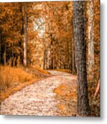 Winding Trail Metal Print