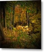 Window Into The Forest Metal Print