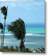 Windy Palms, Playa Las Picuas, Rio Grande, Puerto Rico Metal Print
