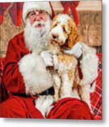 Winston With Santa 1 Metal Print