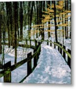 Winter Boardwalk Path In A Park In Maryland Metal Print