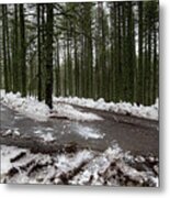 Winter Forest Landscape With Snow On The Ground Metal Print