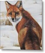 Winter Fox Metal Print