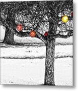 Winter Fruits Metal Print