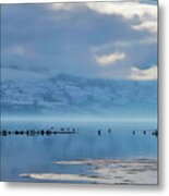 Winter Gulls And Swans Wide Metal Print