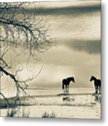 Winter Horses - Washoe Lake Metal Print