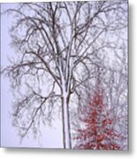 Winter, I Don't Wanna A Lose Red Metal Print