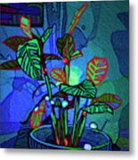 Winter Lights Dance Metal Print