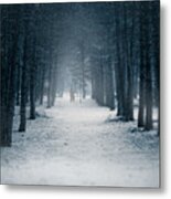 Winter Romance Metal Print