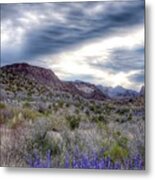 Winter Skies In Big Bend Metal Print