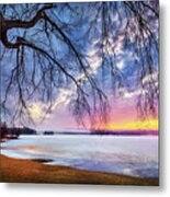 Winter Sky Roots 34a5434 Metal Print