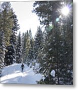 Winter Snowshoeing Snowy Evergreen Pine Forest Mountain Trail Colorado Metal Print