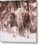 Winter Storm Buffalo Metal Print