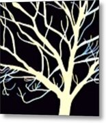 Winter Tree At Night Metal Print