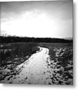 Winter Wetlands Walk - Frank J Casella Metal Print