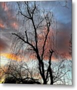 Winter Willow Metal Print