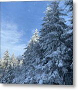 Winter Wonderland Metal Print