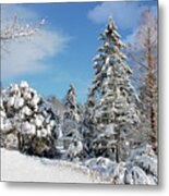 Winter Wonderland Metal Print