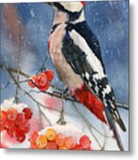 Winter Woodpecker Metal Print