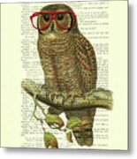 Wise Owl Metal Print