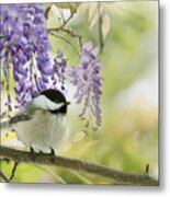 Wisteria And Willow Tit Metal Print