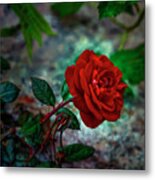 Witches Rose #j9 Metal Print
