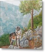 Wolf Pass Metal Print