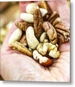 Woman Holding Handful Of Fresh Nuts. Mixed Whole Nuts. Nut Sources Of Vitamin B9 Folate Metal Print