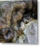 Wood And Rock Unite Metal Print