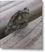 Back Porch Wood Frog Lateral Metal Print