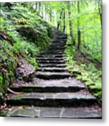 Woodland Stairs Metal Print