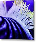 Woodland Violet Metal Print