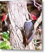 Woodpeckers By The Stream Metal Print