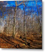 Woods With Deep Blue Sky Metal Print