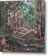 Woodsy Idyll Metal Print