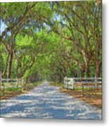 Wormsloe Oak Avenue Painting Metal Print