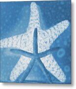X-ray Starfish Metal Print